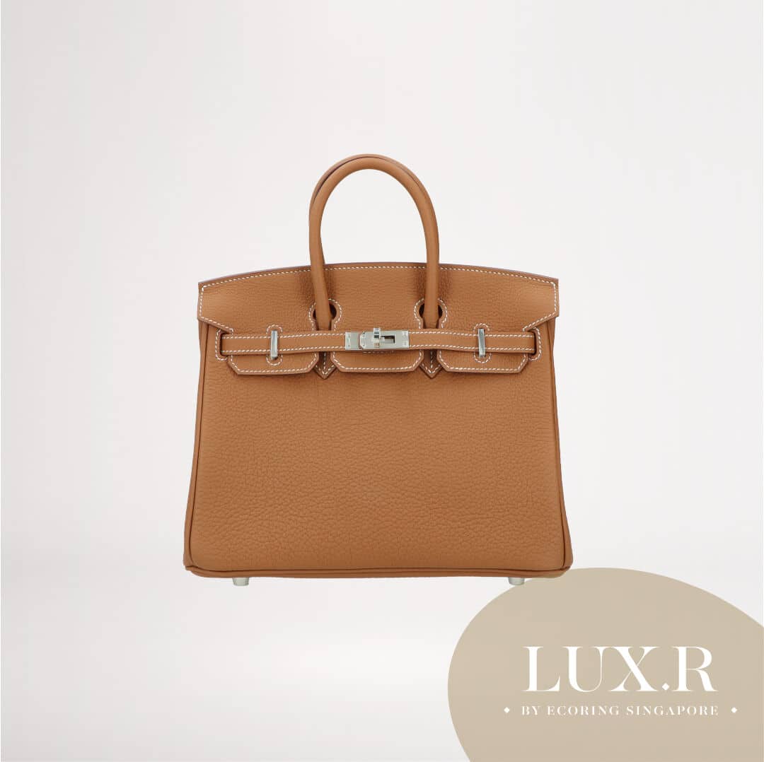 the intricacies of the birkin bag